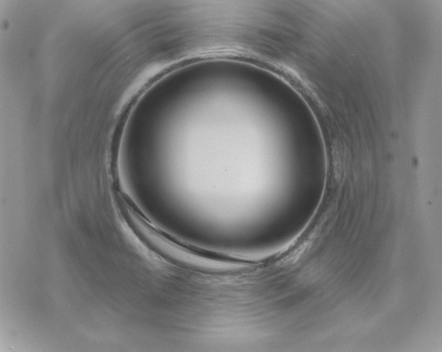 X0000075401422200609291630