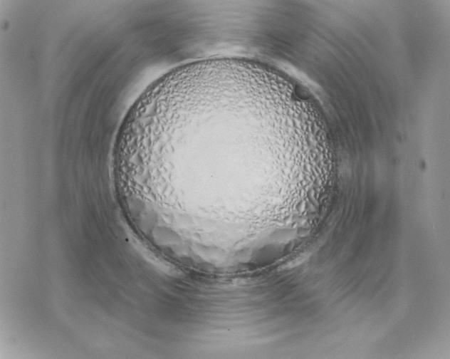 X0000075401423200609291630