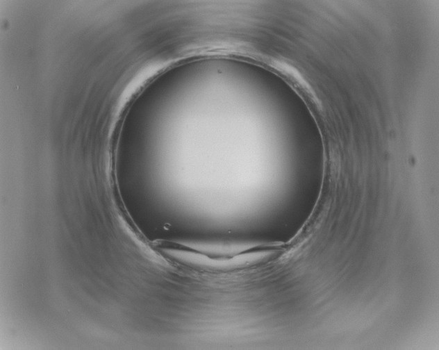 X0000075401424200609291630