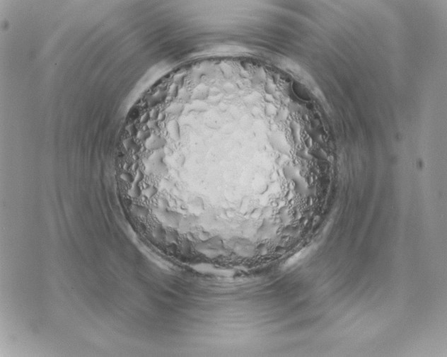 X0000075401425200609291630