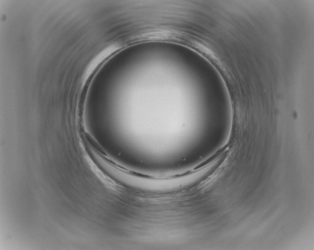 X0000075401426200609291630