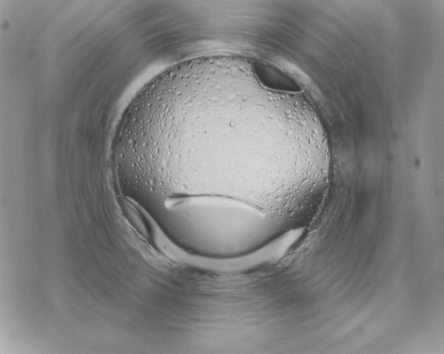 X0000075401427200609291630