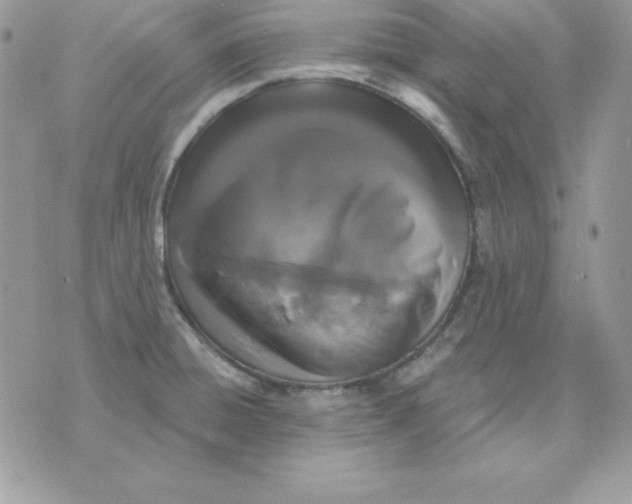 X0000075401428200609291630