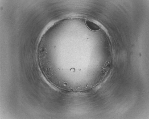 X0000075401429200609291630