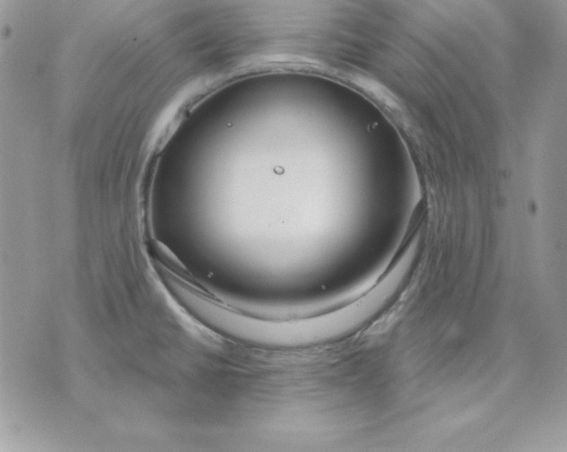 X0000075401430200609291630