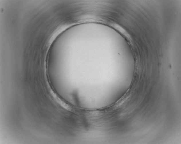 X0000075401431200609291630