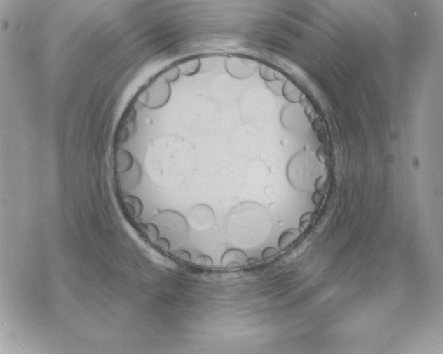 X0000075401432200609291630