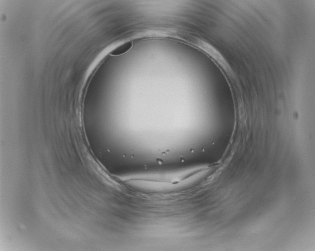 X0000075401436200609291630