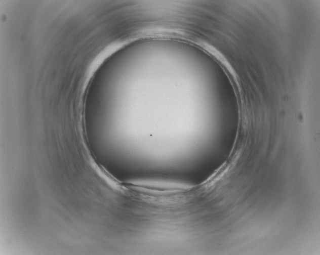 X0000075401437200609291630