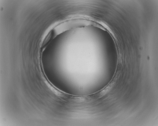 X0000075401438200609291630