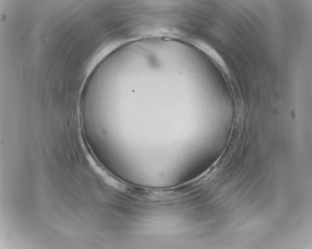 X0000075401439200609291630