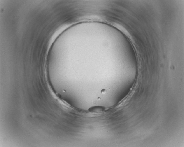 X0000075401440200609291630