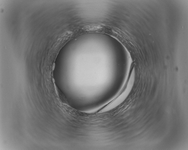 X0000075401441200609291629