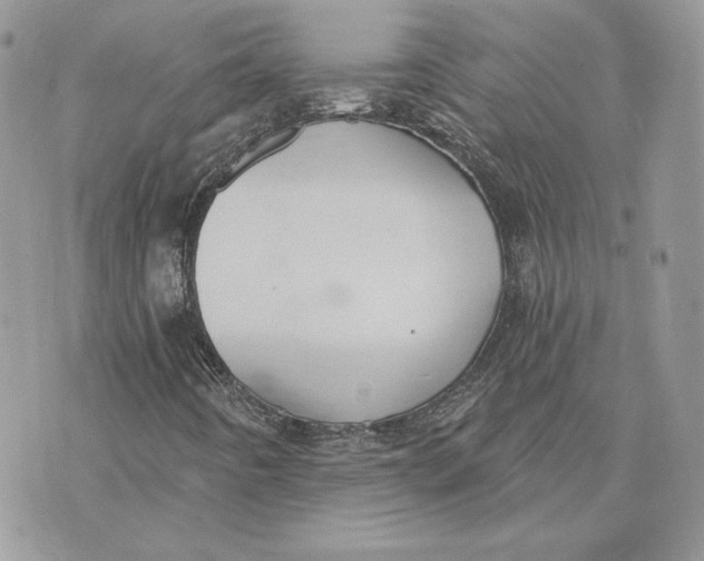 X0000075401442200609291629