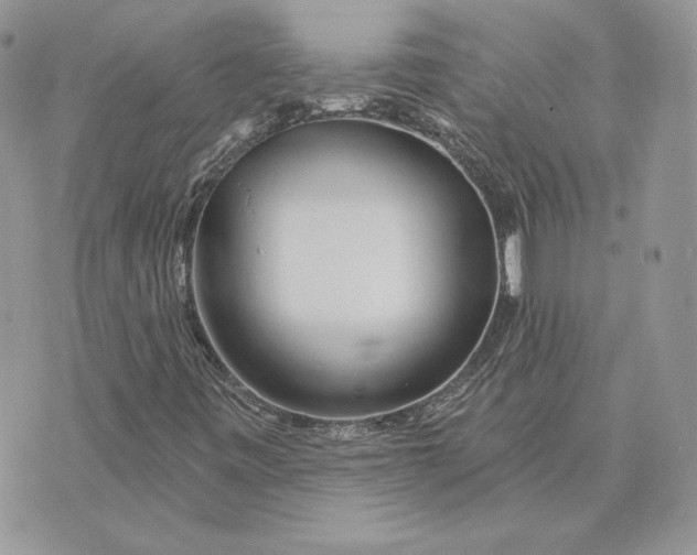 X0000075401443200609291629