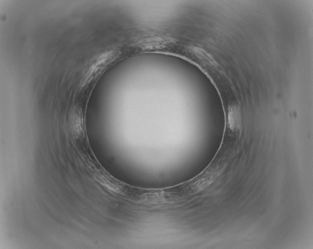 X0000075401444200609291629