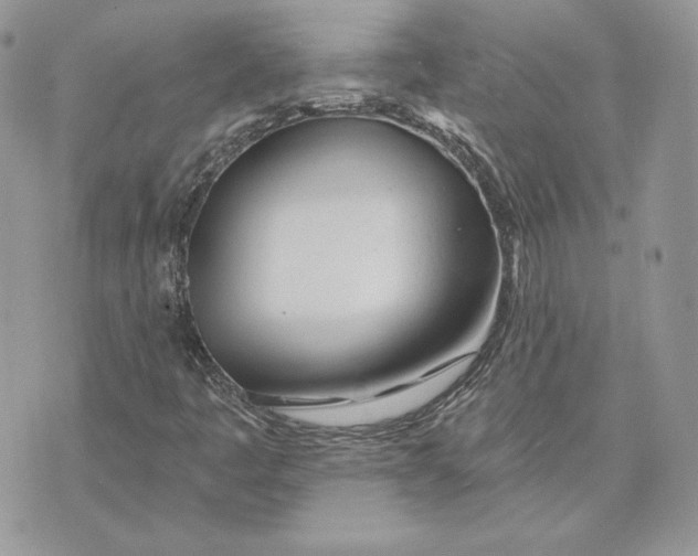 X0000075401445200609291629