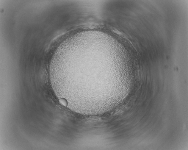 X0000075401446200609291629