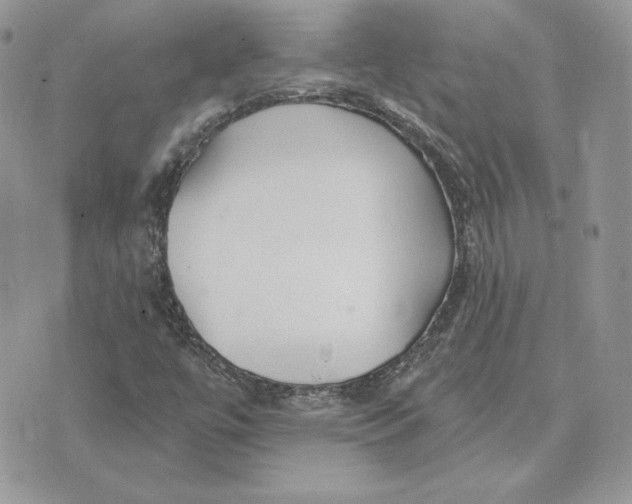 X0000075401447200609291629