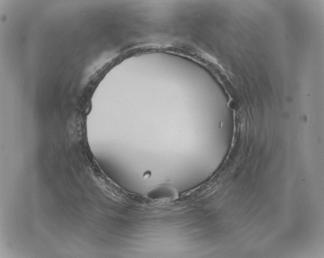 X0000075401448200609291629