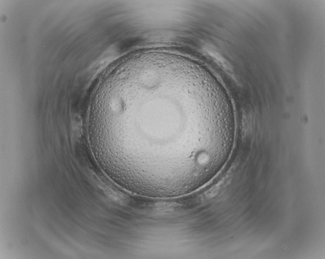 X0000075401449200609291629