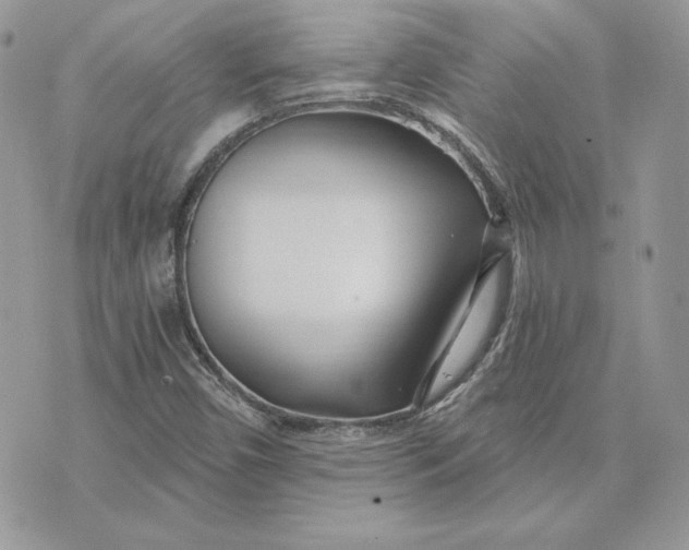 X0000075401450200609291629