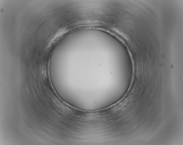 X0000075401451200609291629