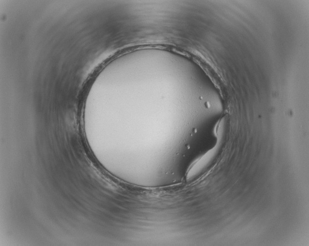 X0000075401452200609291629