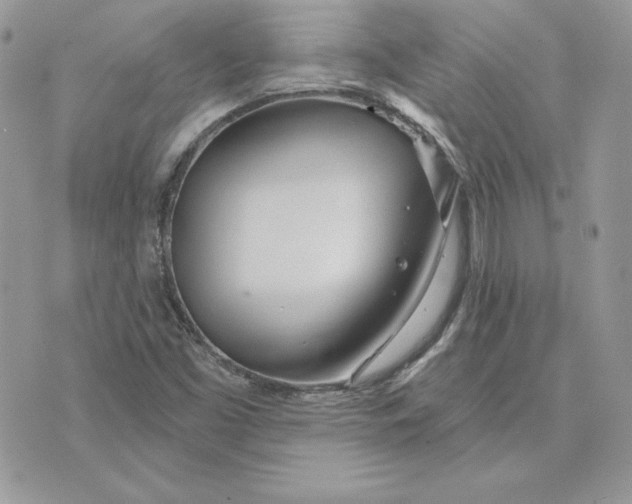 X0000075401453200609291629