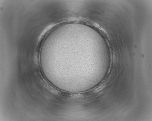 X0000075401454200609291629