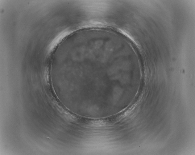 X0000075401455200609291629