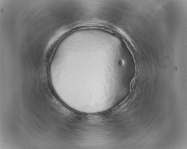 X0000075401456200609291629