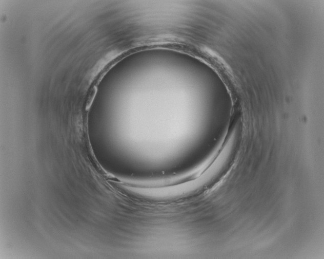 X0000075401457200609291629