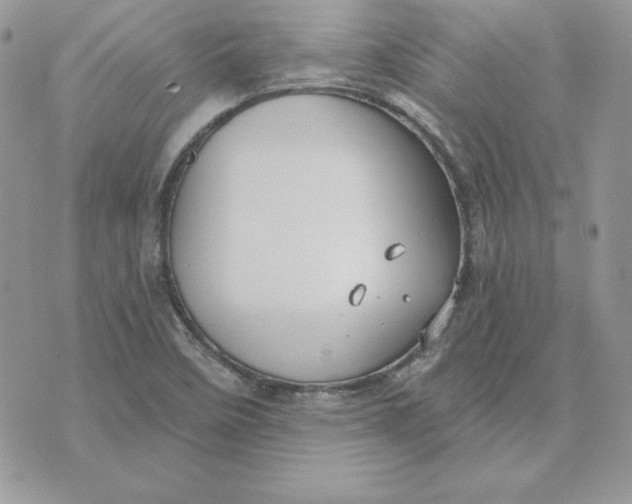 X0000075401458200609291629