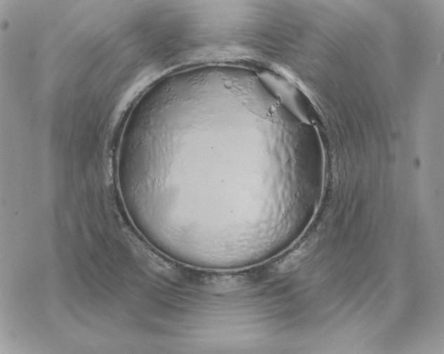 X0000075401459200609291629