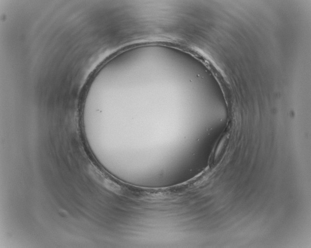 X0000075401460200609291629