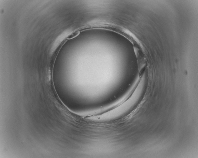 X0000075401461200609291629