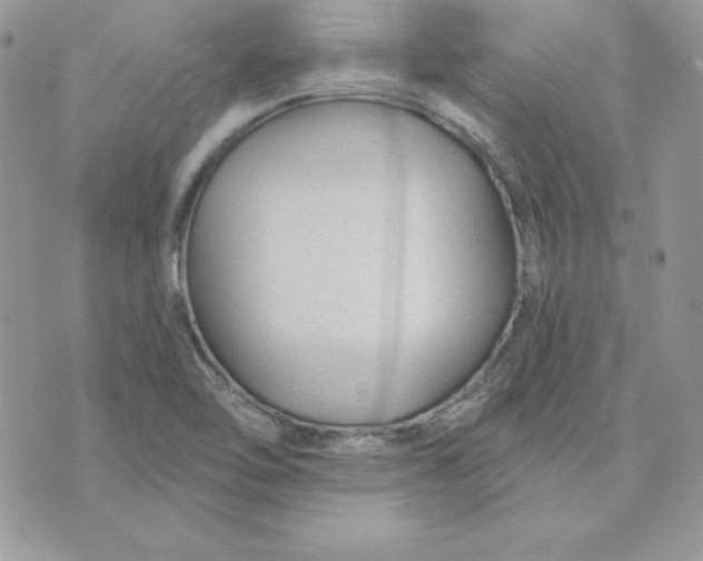 X0000075401462200609291629