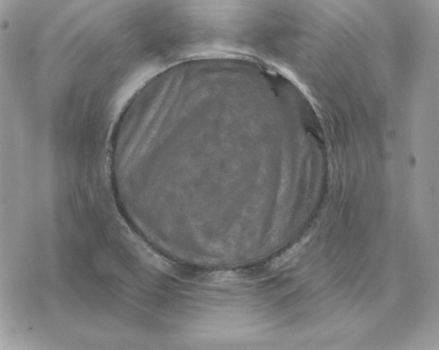 X0000075401463200609291629