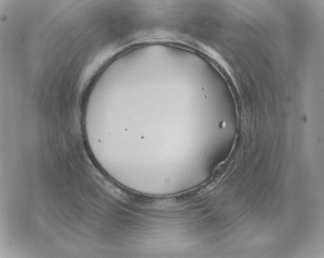 X0000075401464200609291629