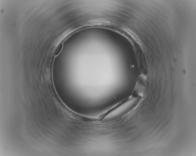 X0000075401465200609291629