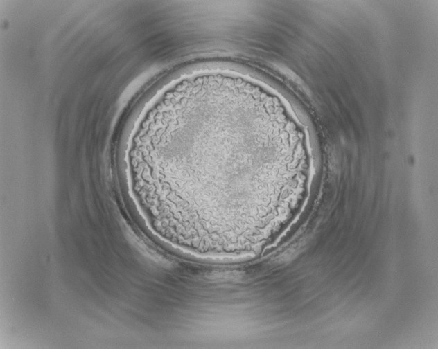 X0000075401466200609291629