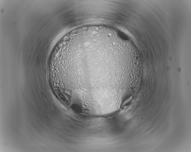 X0000075401467200609291629