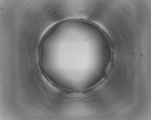 X0000075401468200609291629