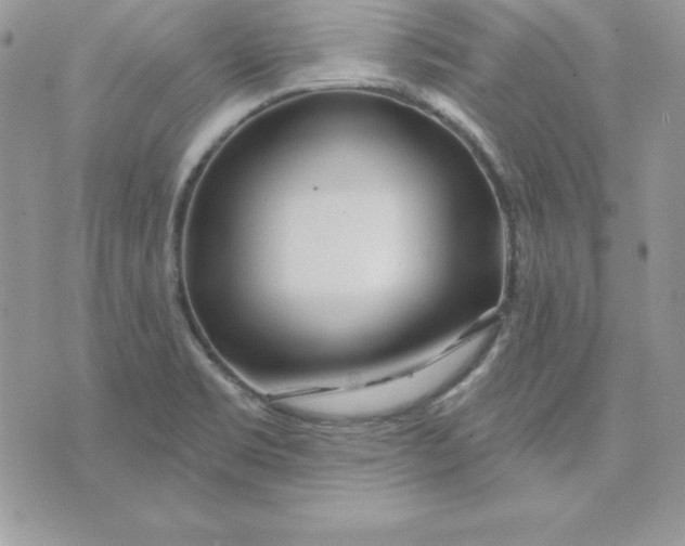 X0000075401469200609291629