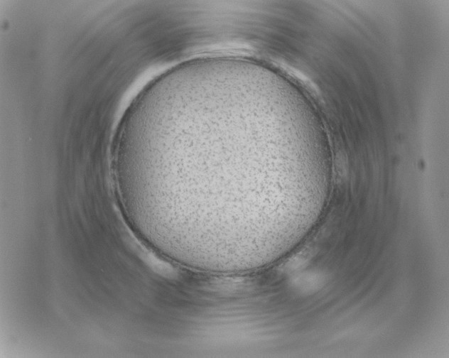 X0000075401470200609291629