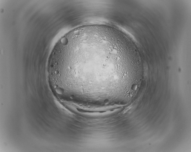 X0000075401471200609291629