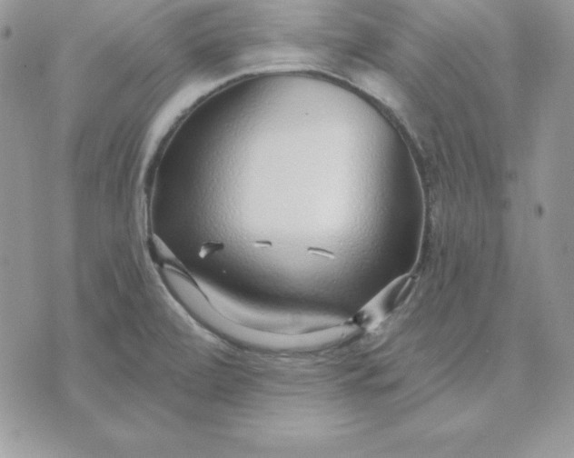 X0000075401472200609291629