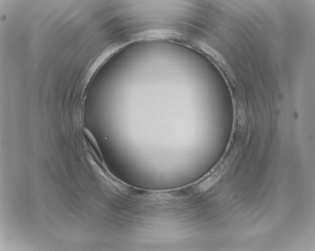 X0000075401473200609291629