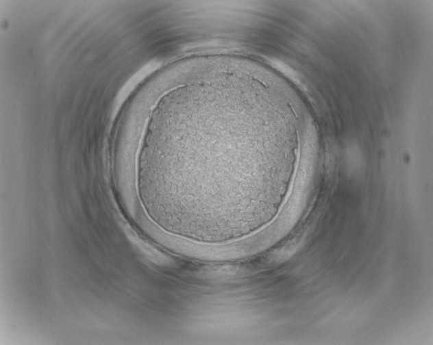 X0000075401474200609291629